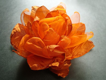SOCZYSTA POMARAŃCZA SundayRose