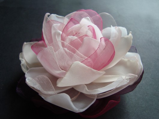 TOLII SundayRose