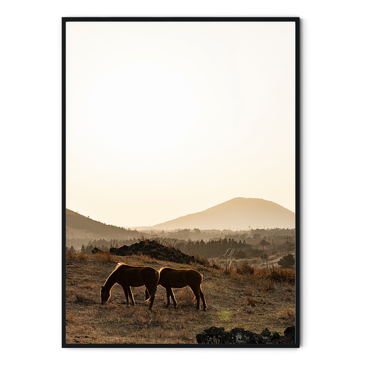 Plakat Konie w górach myscandi
