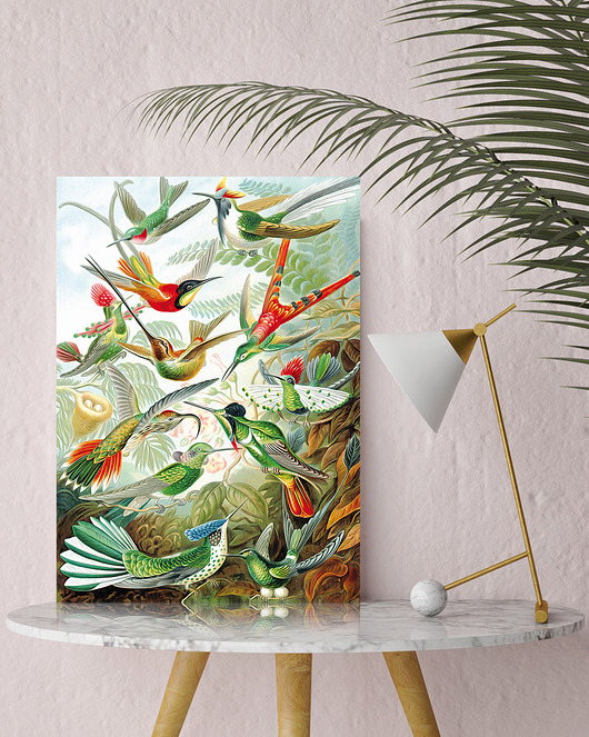 Rajskie ptaki 50x70 cm - plakat B2 HOG STUDIO