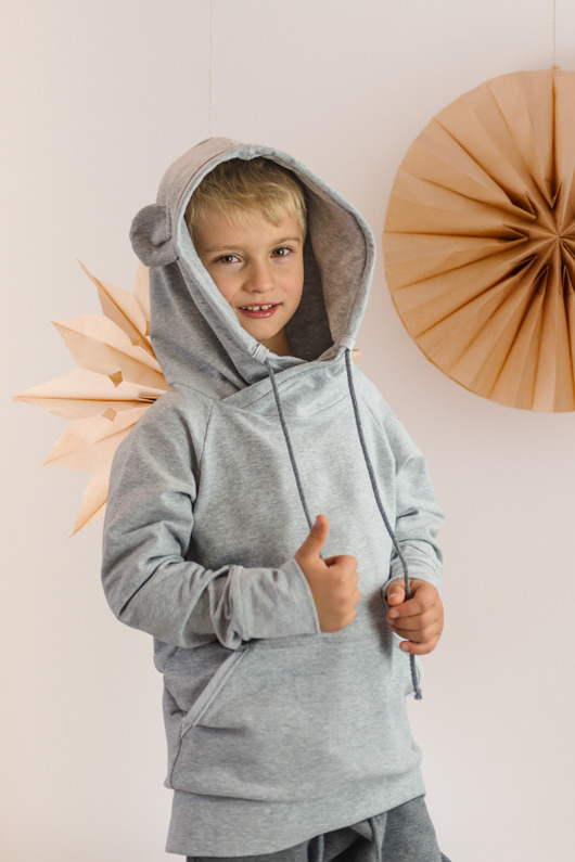 bluzy dla chłopców Bluza BEAR grey