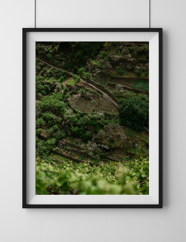 plakaty Tarasy uprawne, Madera, plakat, fotografia