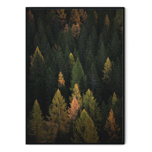 Plakat skandynawski Deep Forest myscandi