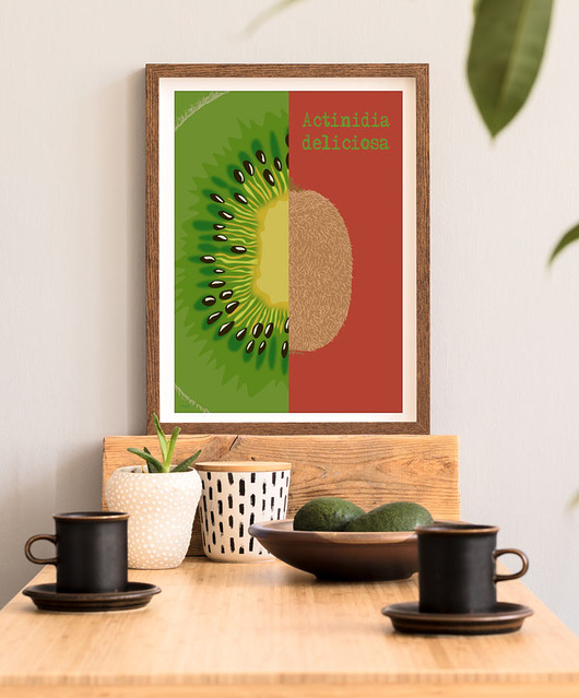 plakaty Kiwi - plakat fine art, giclee