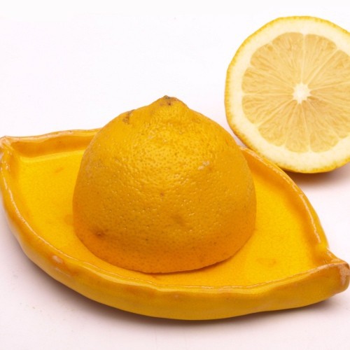cytrynka pod cytrynę Dekornia