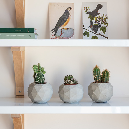 doniczki Zestaw prezentowy 3 osłonki Kule + kaktus mix