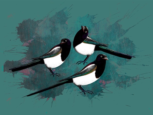 grafiki i ilustracje 3 srOki