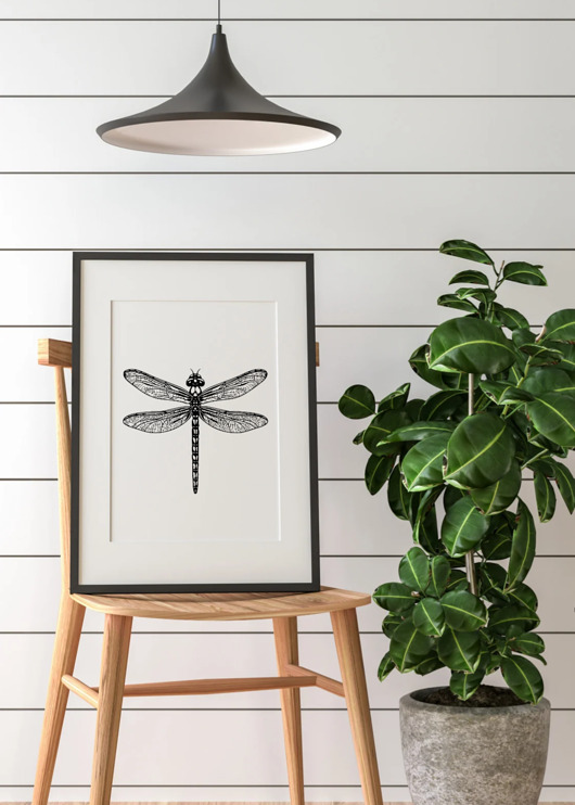 grafiki i ilustracje PLAKAT ważka,  szkic ważka, grafika z ważką