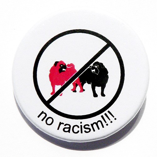 No racism Pink Pug Design