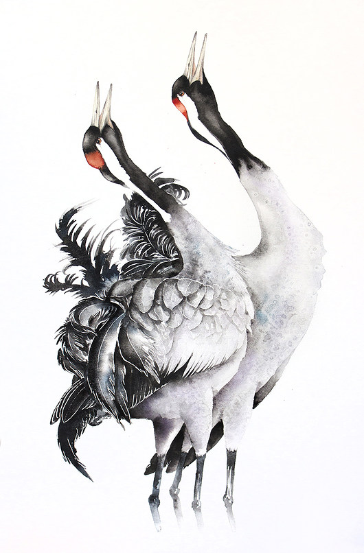 Żurawie zwyczajne - plakat, reprodukcja 50x70cm Karolina Kijak