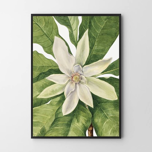 plakaty Plakat Plantlove 