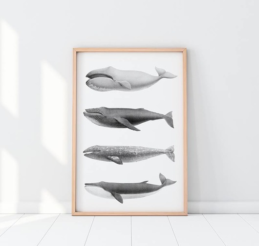 Plakat Walne zgromadzenie 30x40 cm HOG STUDIO