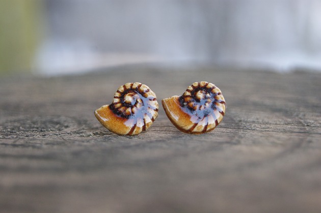 kolczyki ceramiczne Kolczyki Muszelki Bursztynowe Echo Oceanu - ceramiczne sztyfty