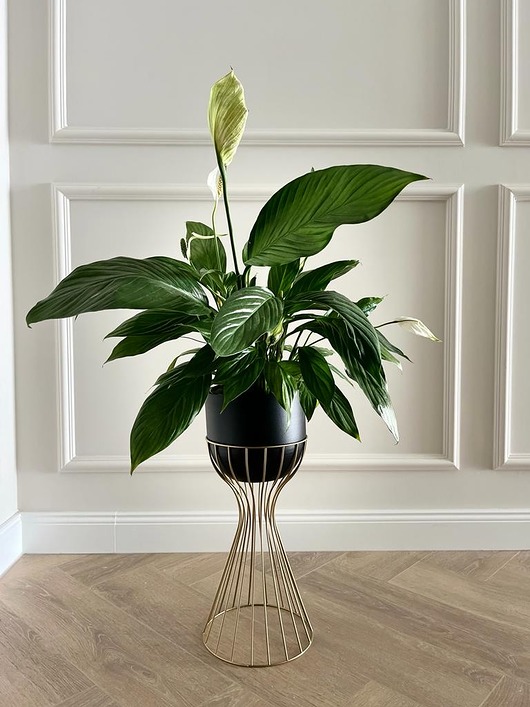 kwietniki Kwietnik metalowy stojący LOFT Design - GOLD 46cm