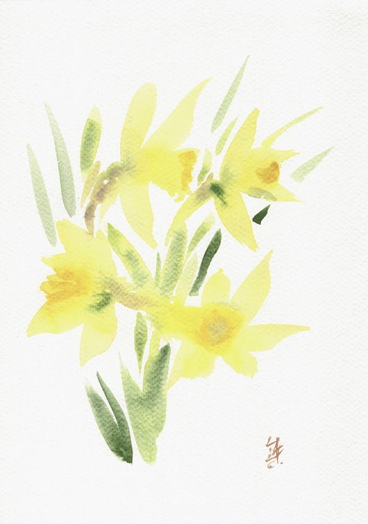 obrazy Oryginalna akwarela. Żonkile