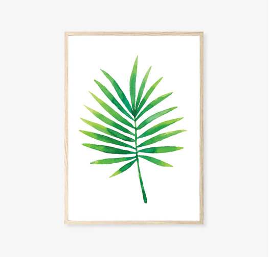 plakaty PLAKAT botaniczny Liść palmy Palma