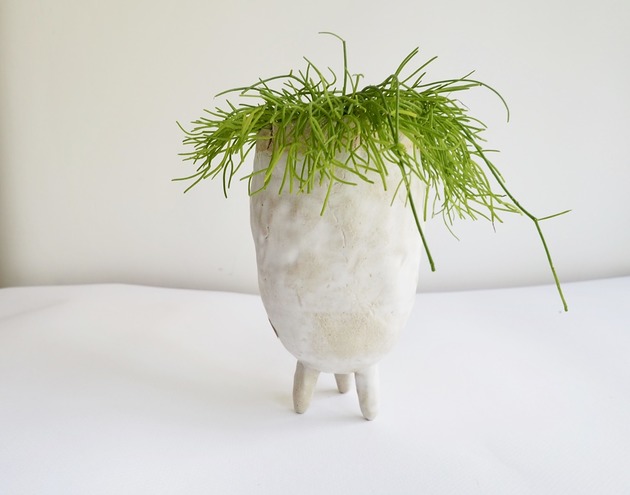doniczki Doniczka Eccentric plant