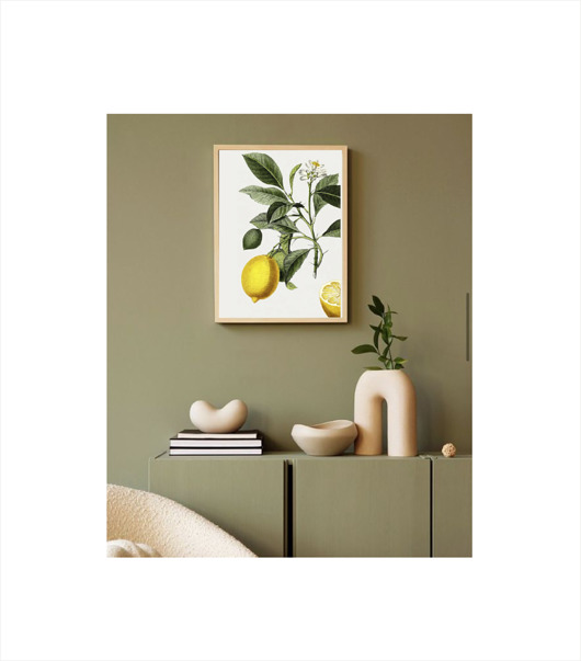 grafiki i ilustracje PLAKAT  ILUSTRACJA botaniczna  vintage cytryny