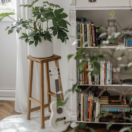 taboret ERIC Wild Wood Stories