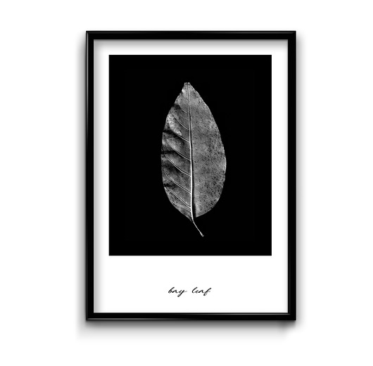 Bay Leaf - plakat  Bury Lis