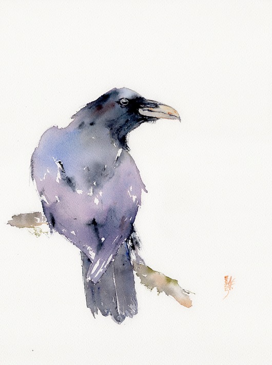 obrazy Oryginalna akwarela. Kruk