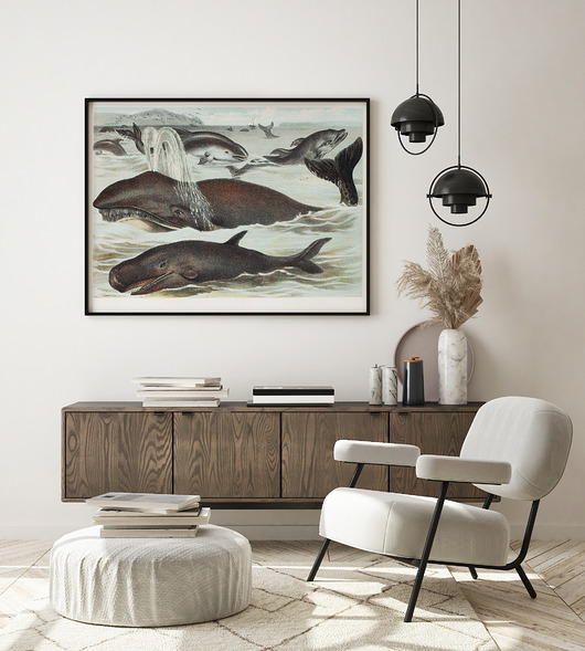 grafiki i ilustracje Plakat poziomy vintage 'Wieloryby'