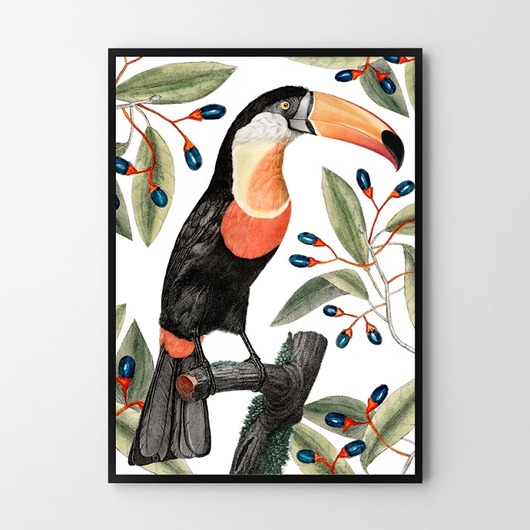 Plakat Tukan z tłem  HOG STUDIO