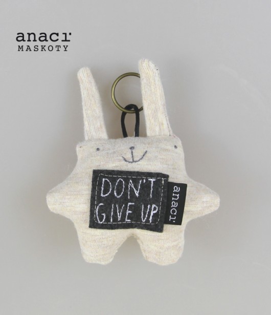 Don't give up ! anaci