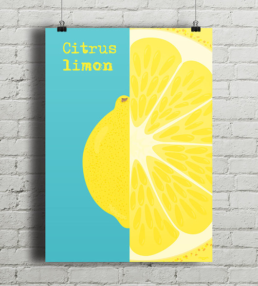 Cytryna - plakat fine art 50x70 cm minimalmill