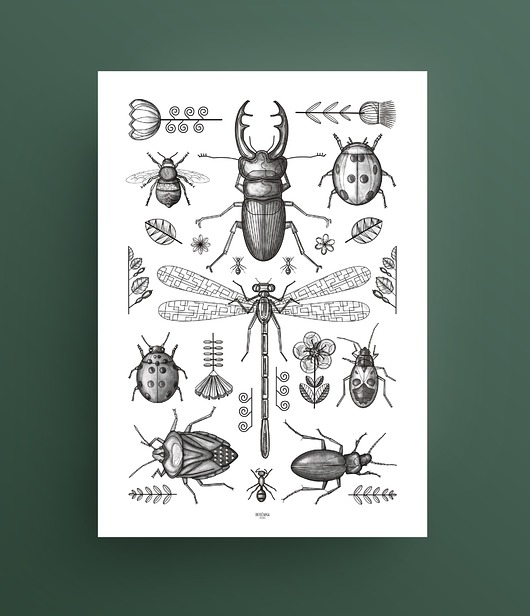 Plakat OWADY Borówka Studio