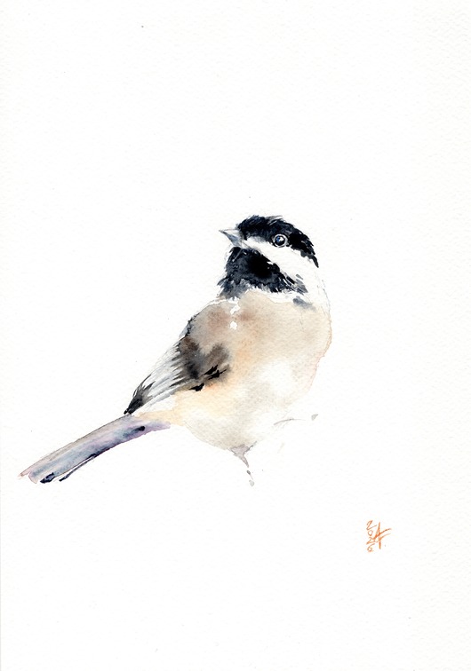 obrazy Oryginalna akwarela. Sikora uboga