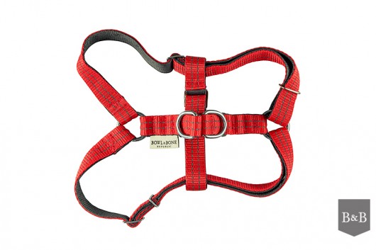 Szelki Active Red M Bowl and Bone Republic