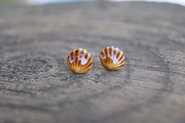 kolczyki ceramiczne Kolczyki Muszelki "Bursztynowy Brzeg" - ceramiczne sztyfty