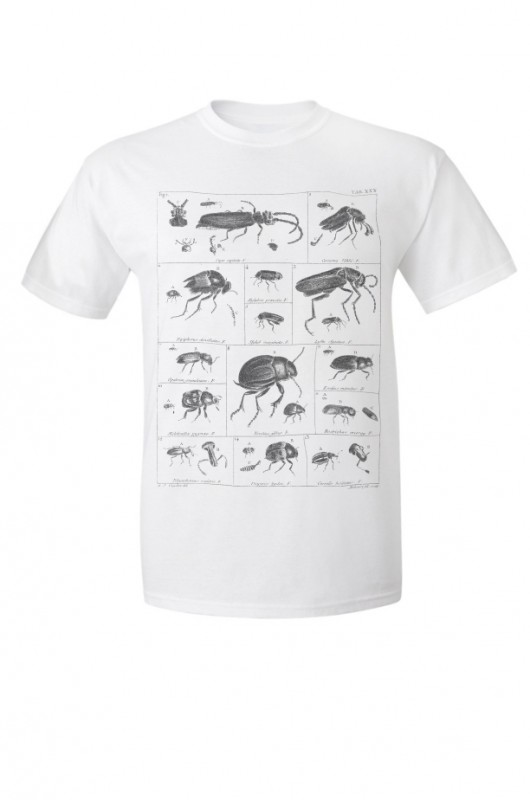 BUGS - Koszulka Męska T-shirt BIAŁY GAU great as You