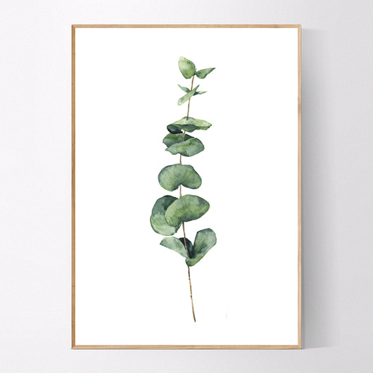 Plakat EUKALIPTUS NO.1 MUKKO