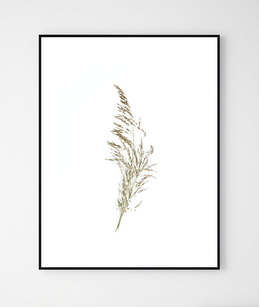 Plakat z motywem roślinnym ROŚLINA/ No.2 Szare Kropki