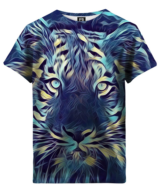 t-shirty dla chłopców T-shirt Boy DR.CROW Tiger Art