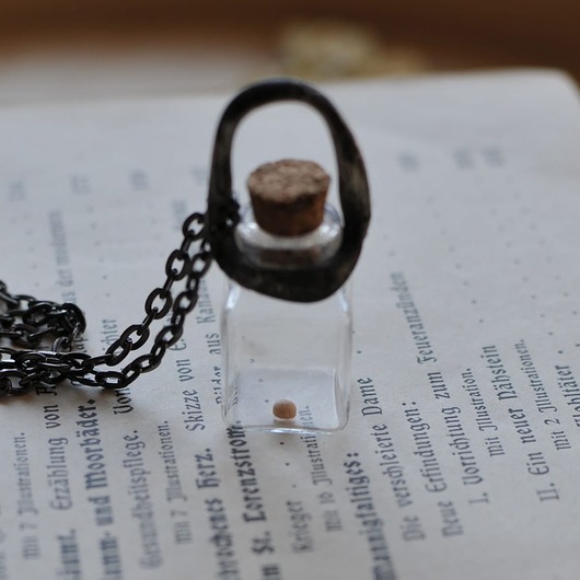 wisiory Naszyjnik buteleczka - ziarnko gorczycy 1