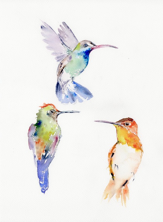 obrazy Oryginalna akwarela. Kolibry