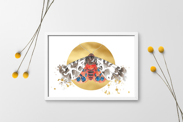 Plakat wydruk Niedźwiedziówka Kaja Arty arty