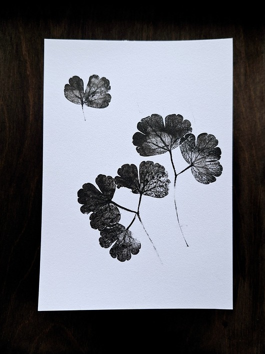 grafiki i ilustracje Grafika plakat print roślinny