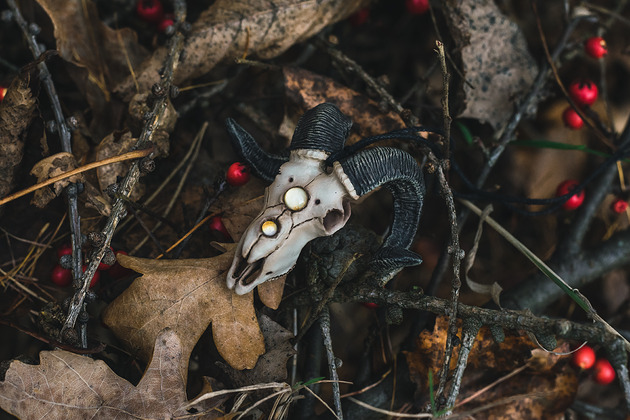 wisiory Wisior Czaszka Barana Żółte Oczy