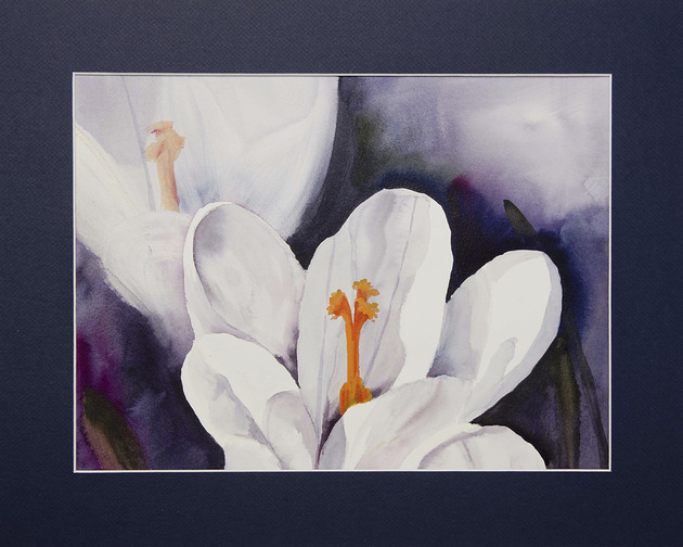 obrazy Akwarela ręcznie malowana KROKUSY 50x 40cm WIOSNA