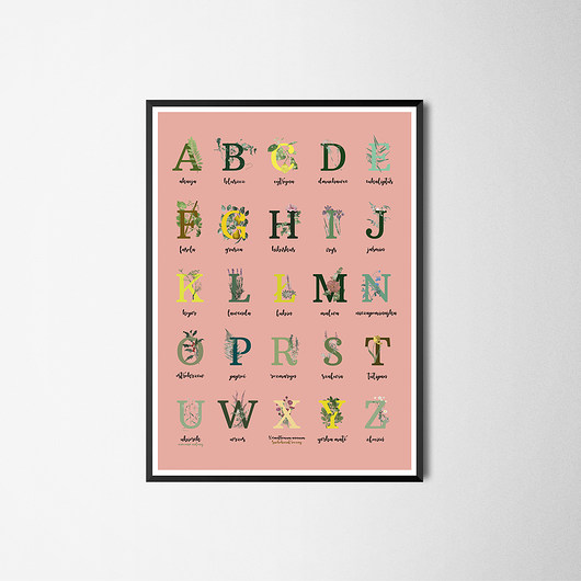 Plakat Alfabet roślinny róż Maly Wielki Design