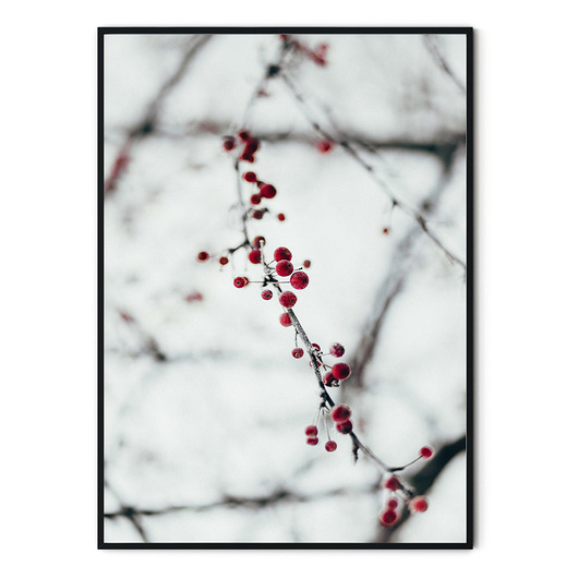 Plakat botaniczny Frozen plants no. 1 myscandi
