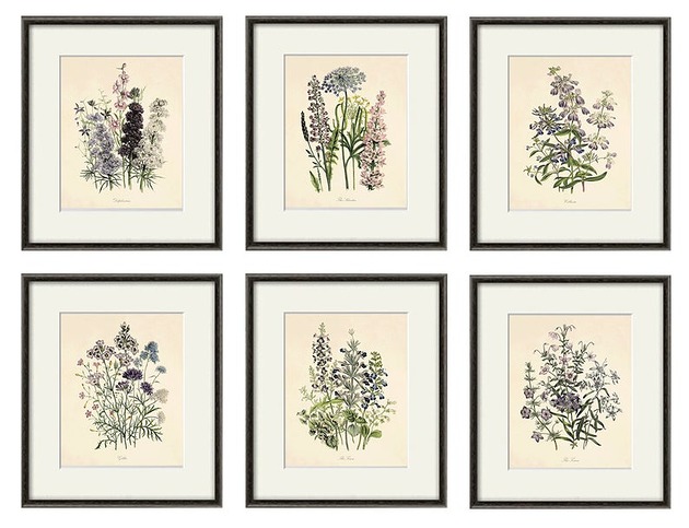 grafiki i ilustracje Rysunek kwiaty grafika kwiaty polne