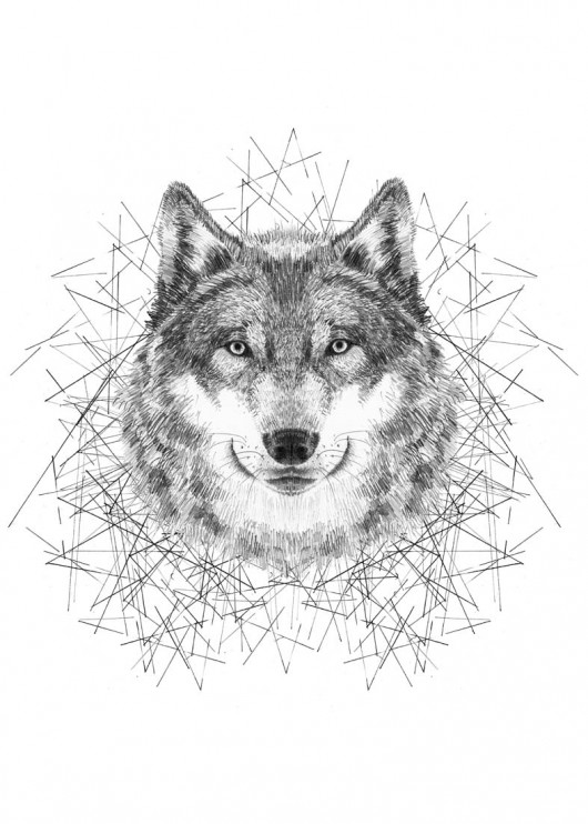 wolf song Tiri riri