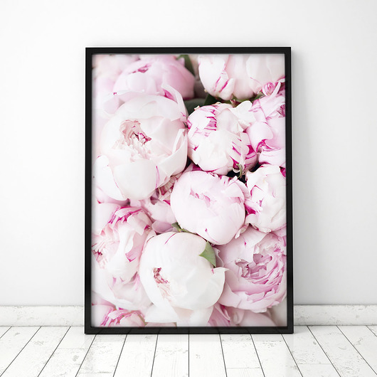 Plakat Piwonie 2 COLORMINT