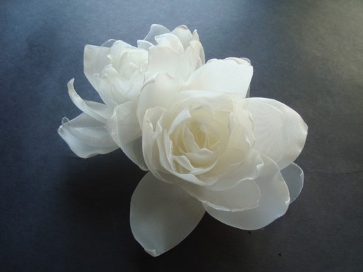 magnoliowy sen SundayRose