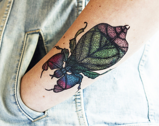 Lisciec-tatuaz tymczasowy Anna Chudzik Pawlik Art